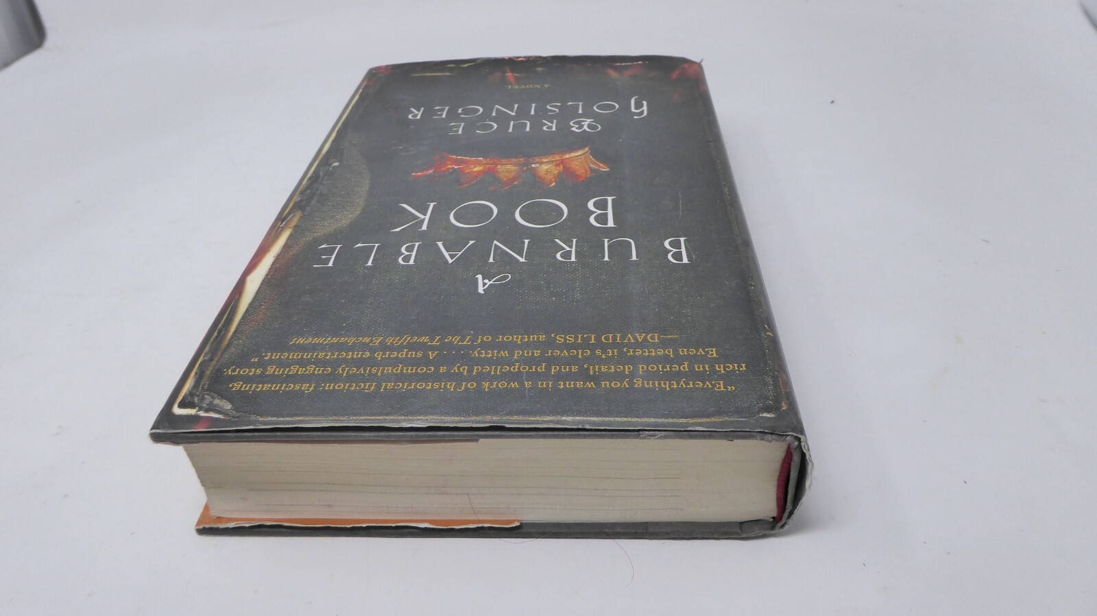 *SIGNED* A Burnable Book : A Novel by Bruce Holsinger (2014, Hardcover)