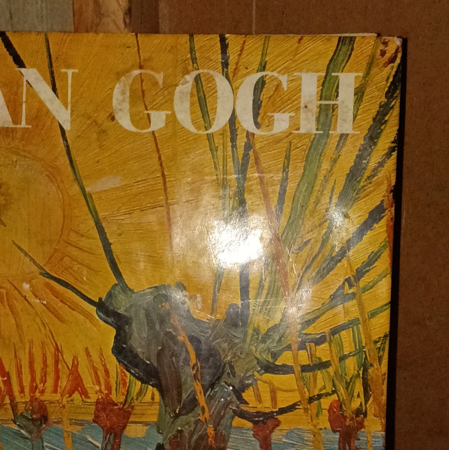 Van Gogh by Jean Leymarie Hardcover 1986 Discovering the 19th Century Illus