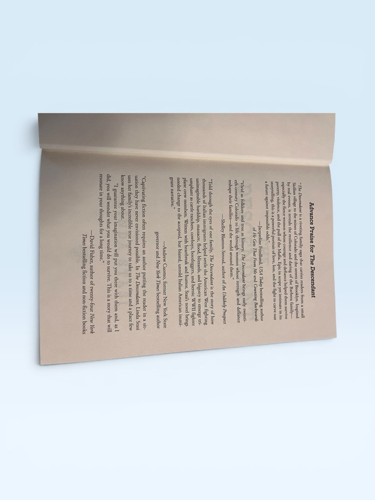 The Descendant Hardcover Linda Stasi