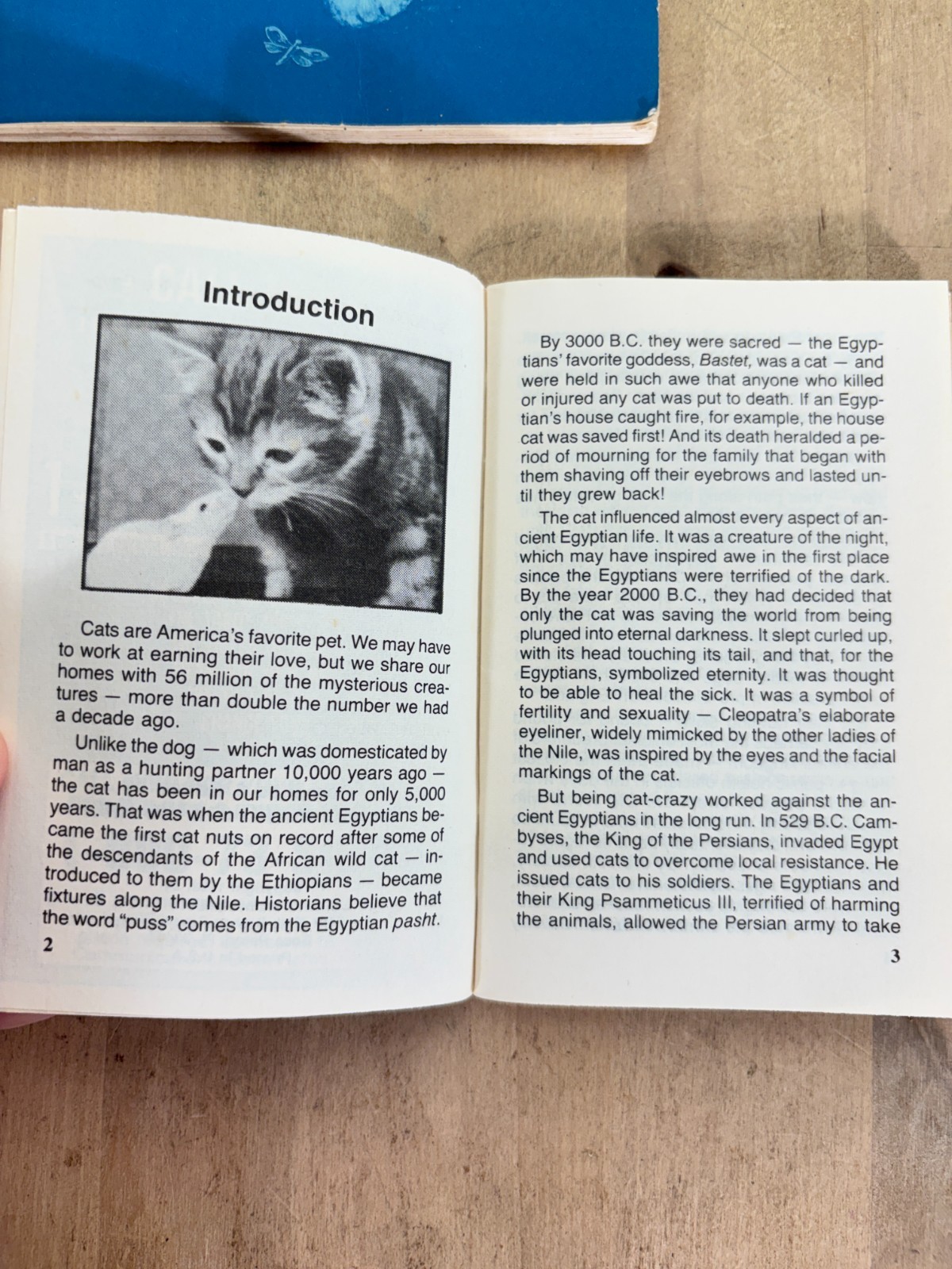 Lot 4 Vtg Cat Books, Uncanny Cats, The Pocket Pet Encyclopedia, Home Pet Guide