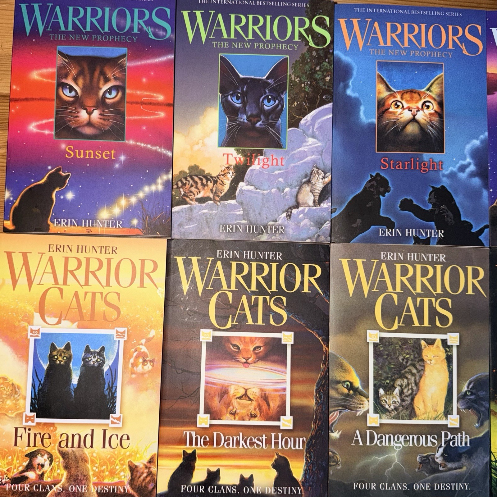 Warrior Cats Volume 1 to 12 PAPERBACK Books Collection Set by Erin Hunter