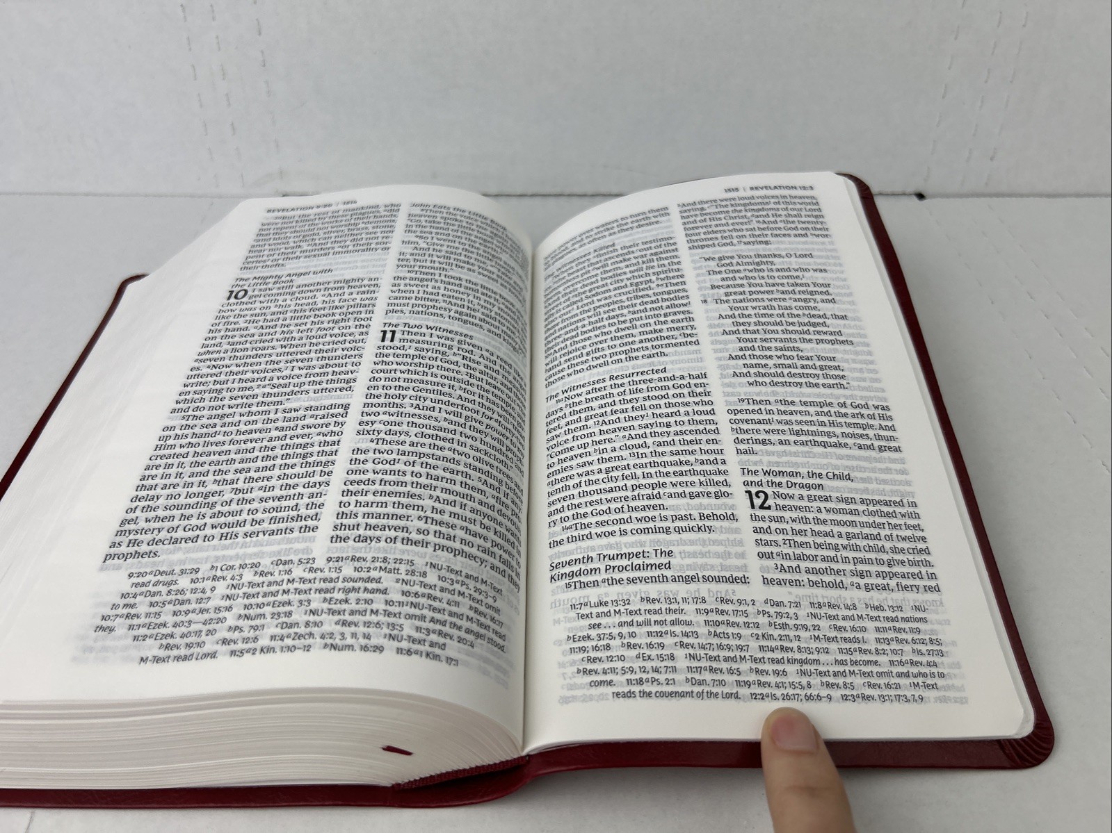 NKJV Holy Bible New King James Version Red Leather-Soft GIANT PRINT Reference