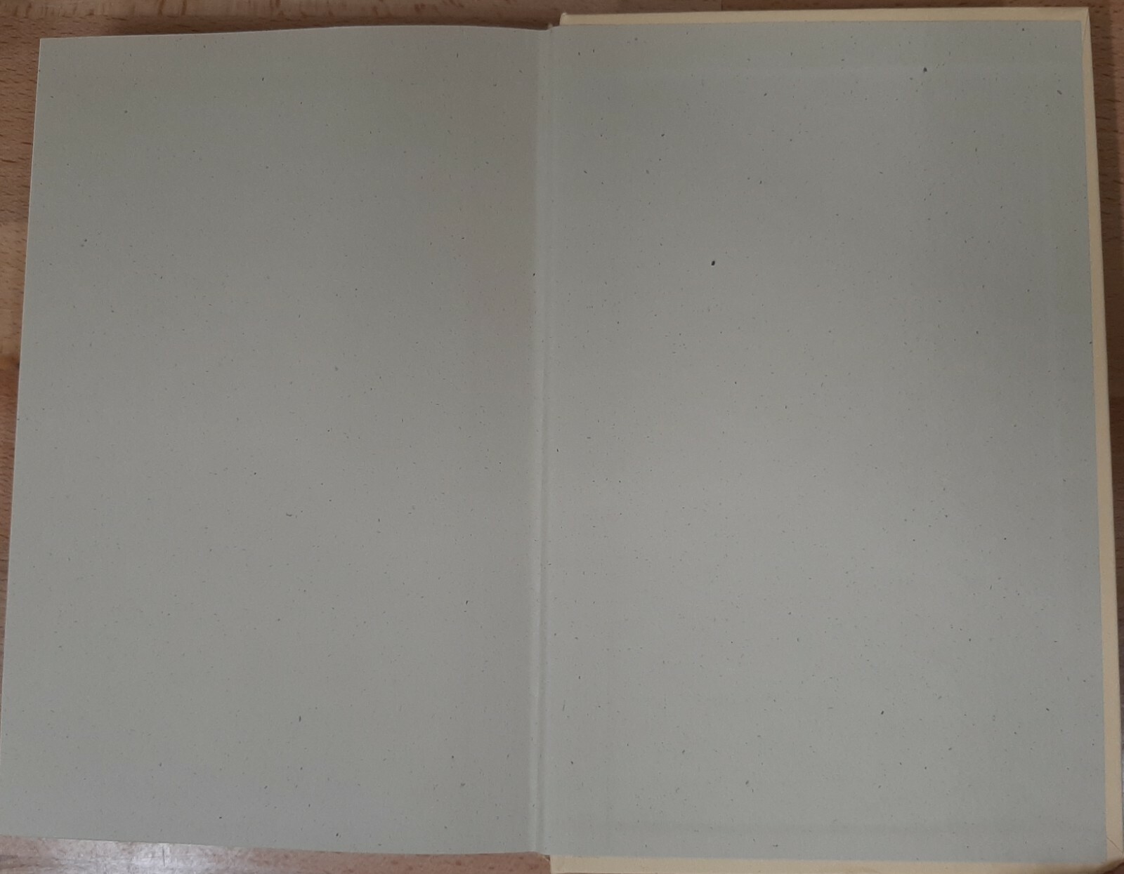 Book of Judas~Linda Stasi~381 pages~2017~1st Edition~H/C~D/J~Very Good Condition