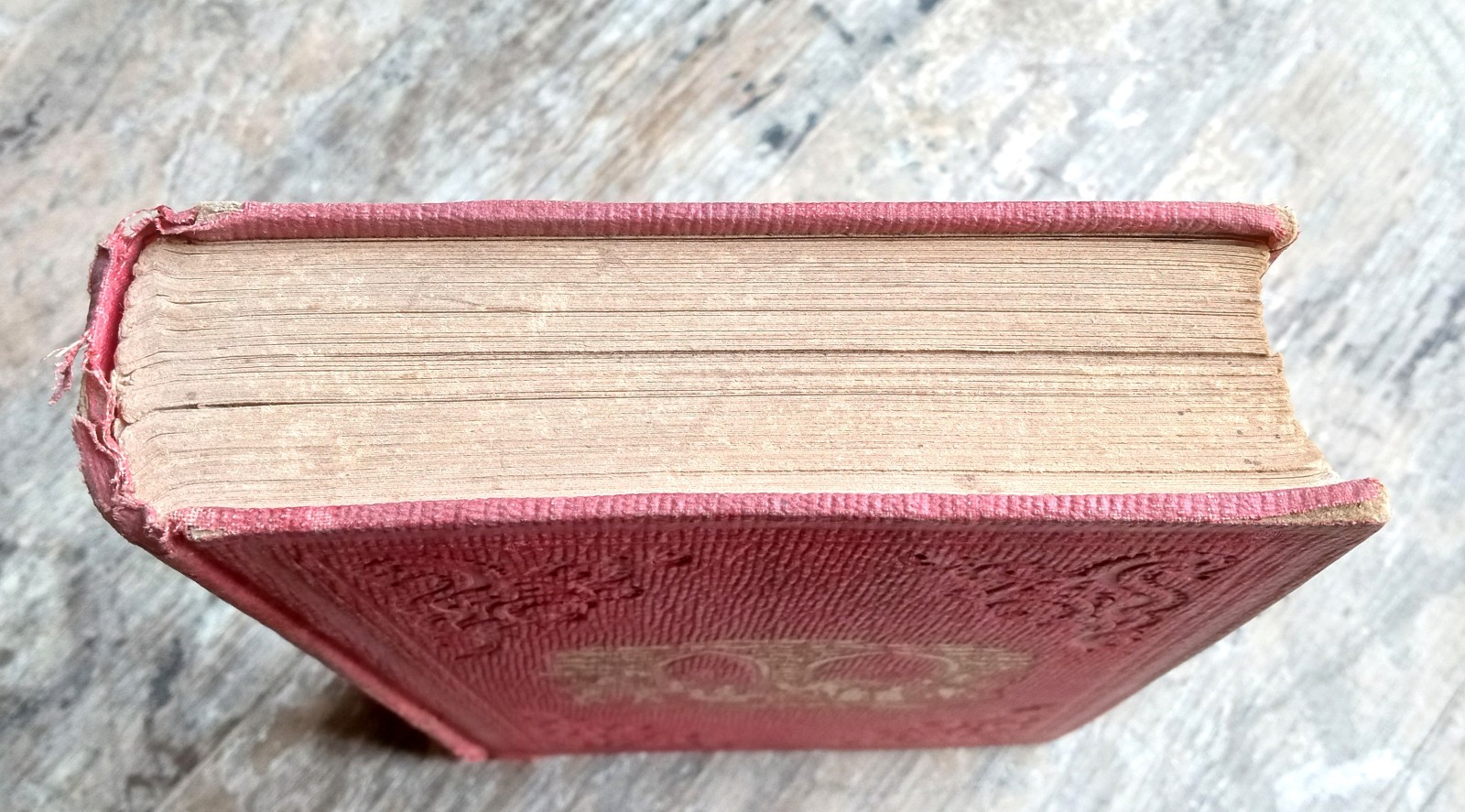 The Sacred Plains ~1856 Antique HC~ Headley Bible Geography Buffalo NY Illust