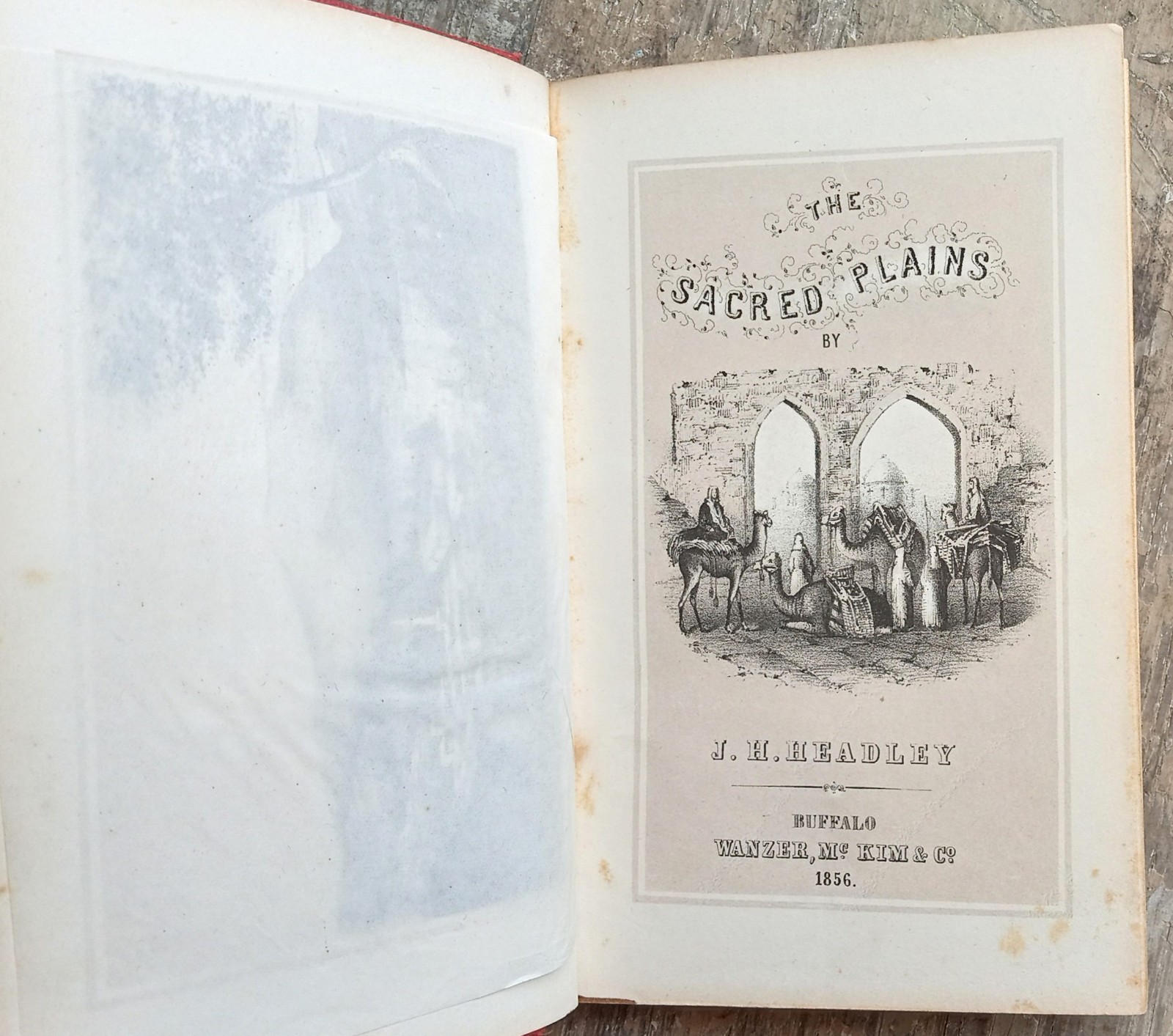 The Sacred Plains ~1856 Antique HC~ Headley Bible Geography Buffalo NY Illust