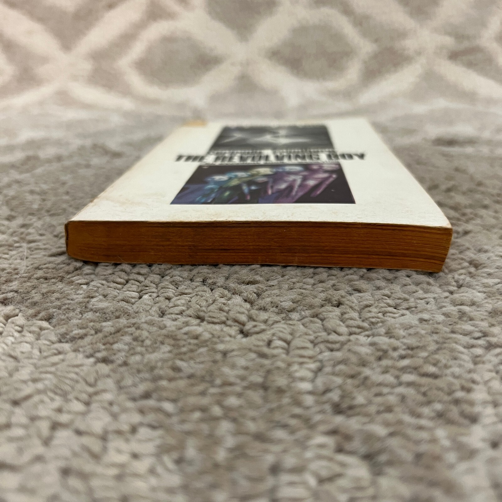 The Revolving Boy Science Fiction Paperback Book by Gertrude Friedberg 1966