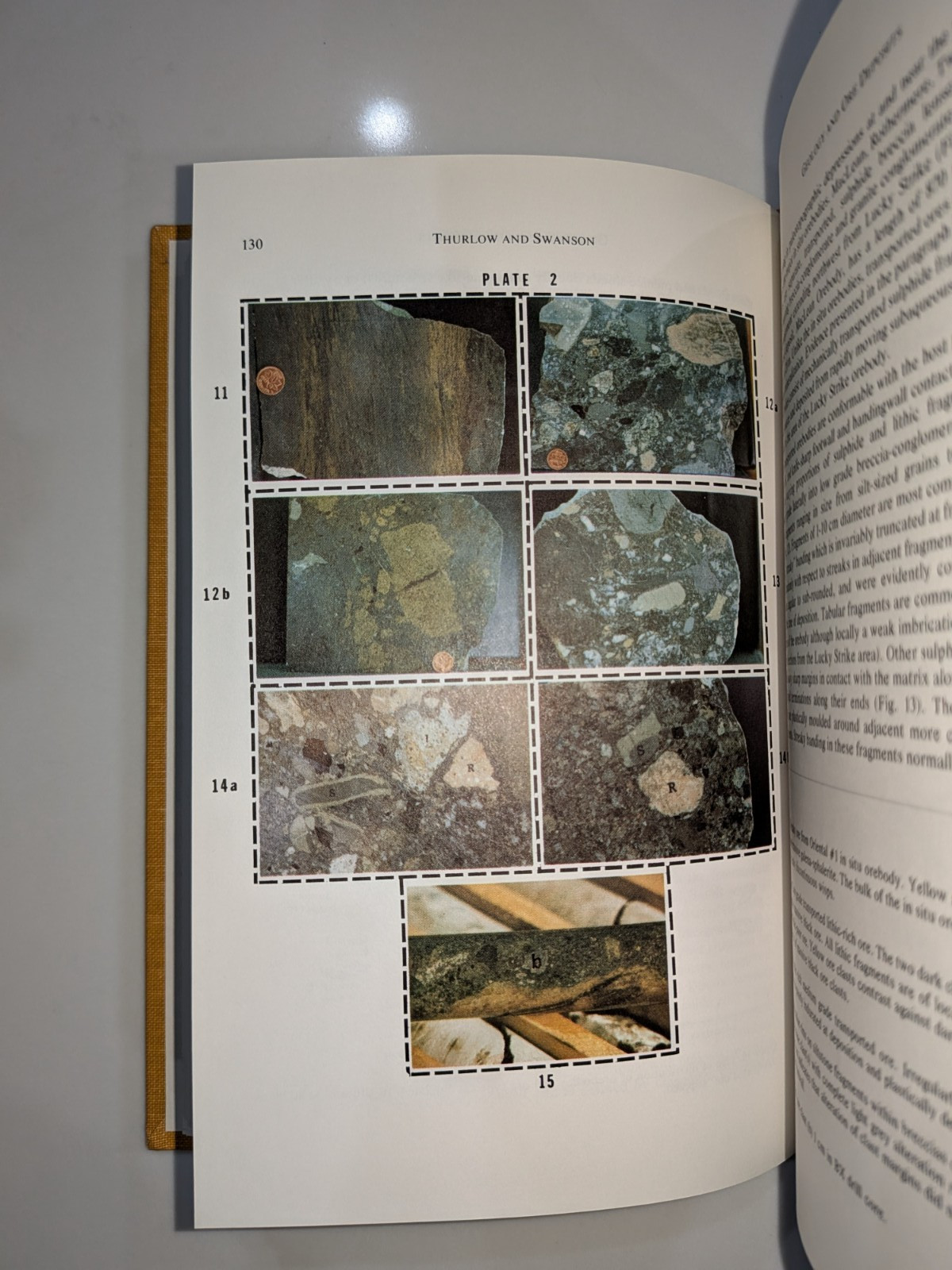 The Buchans Orebodies | 1981 GAC Special Paper 22 | Mining Geology Hardcover