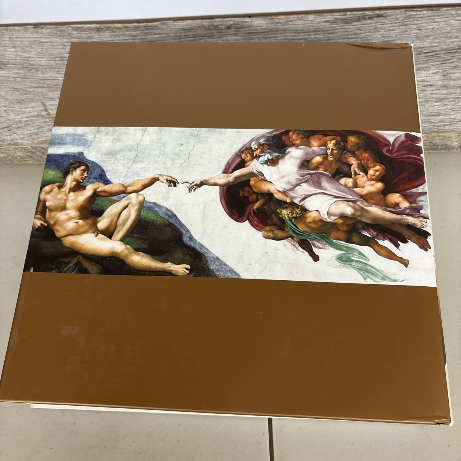 Vatican All the Paintings The Complete Collection Anja Grebe HC Book W/DVD EUC