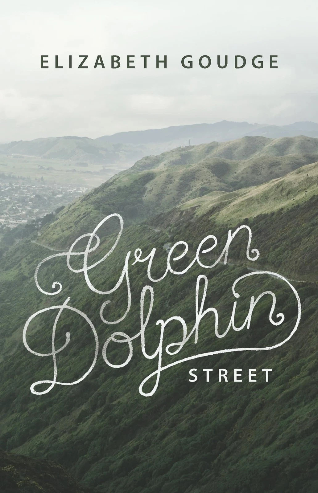 Green Dolphin Street By Elizabeth Gouge Trade Paperback Very Good