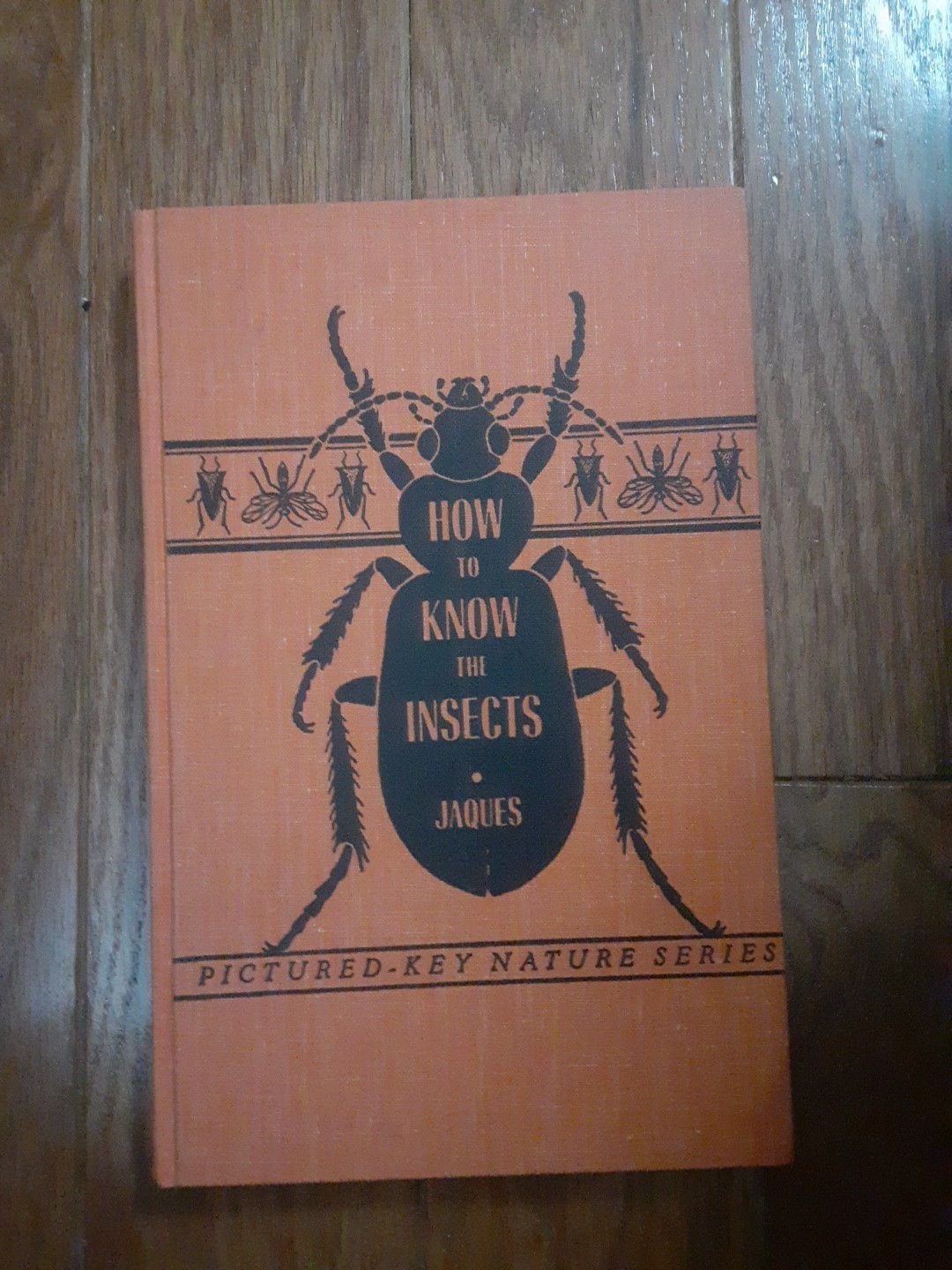 How To Know The Insects, By H.E. Jaques, Hardcover, Pictured Key Nature Series