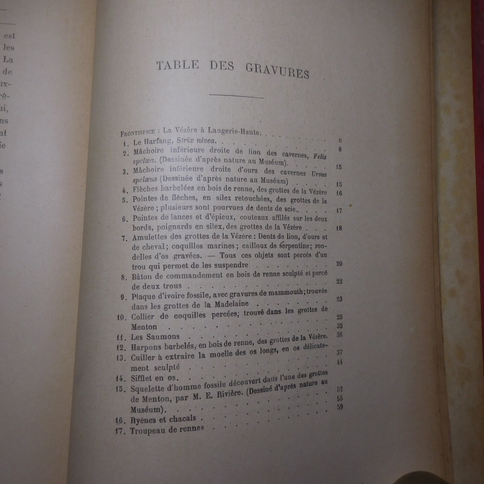 N25.4 Misery Size Humanity Primitive 1889 Illustrated Anthropology Mrs. Meunier