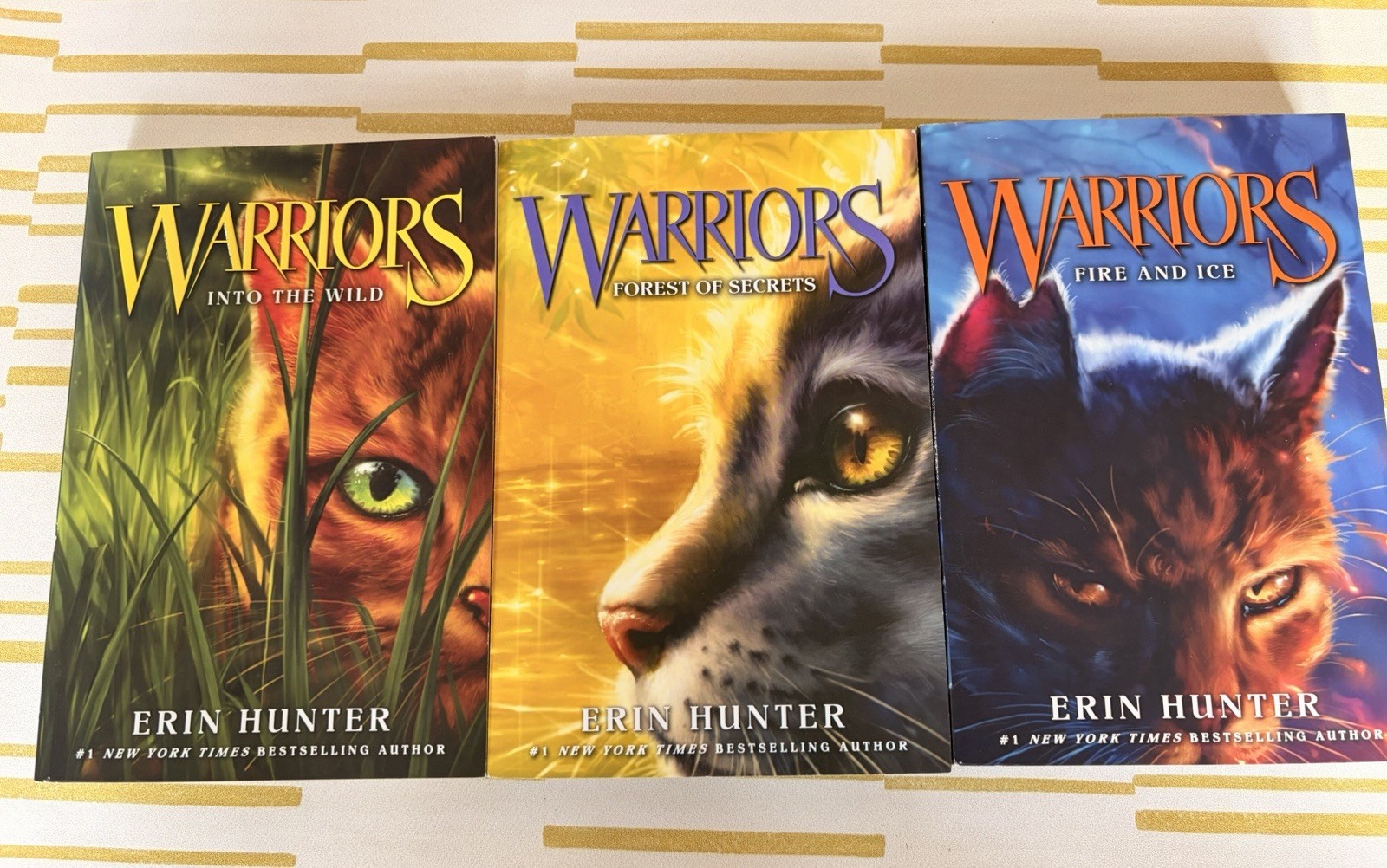 Erin Hunter Warriors: The Prophecies Begin Box Set Books 1-3 (English)