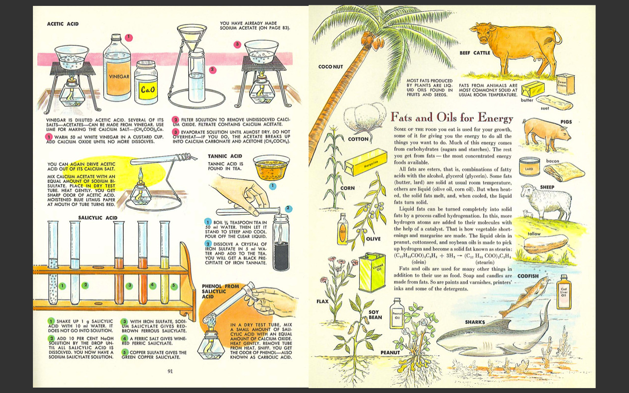 Golden Book Chemistry Experiments-Vintage Manual-Rare-Banned-Science Textbook-CD