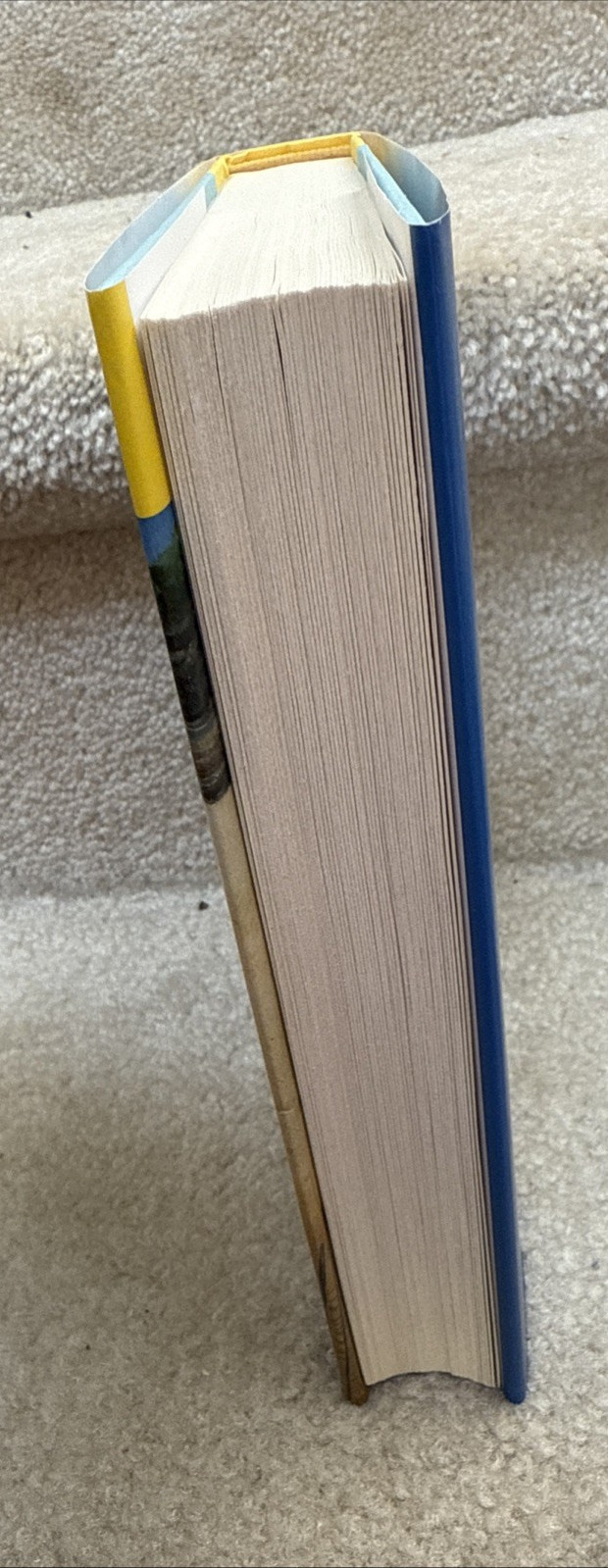 These Summer Storms : A Novel by Sarah MacLean (2025, Hardcover)