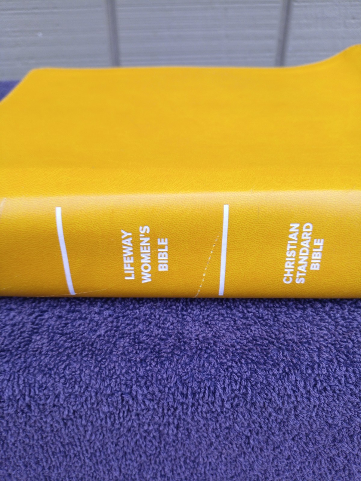CBS Christian Standard Lifeway Women’s Bible Marigold LeatherTouch READ DESCRIPT