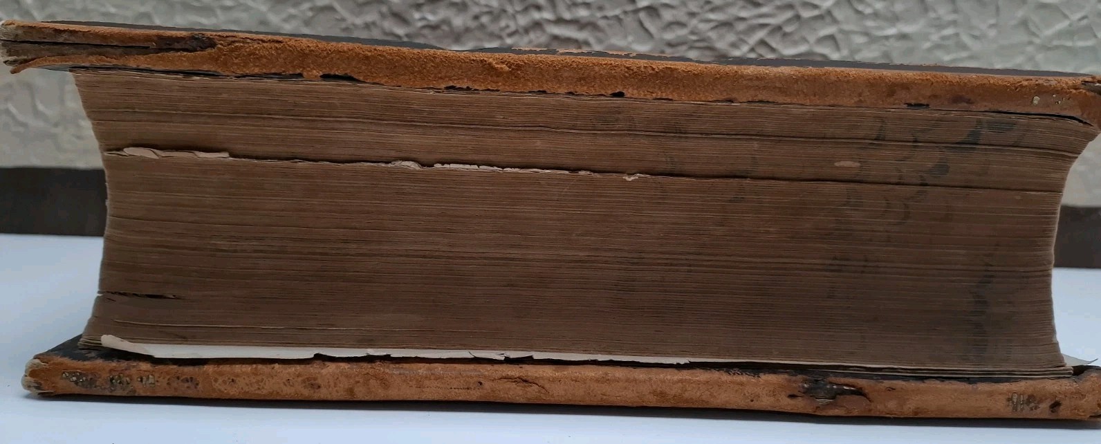 Antique 1873 Complete Domestic Bible Illus. Leather Apocrypha Maps Travels