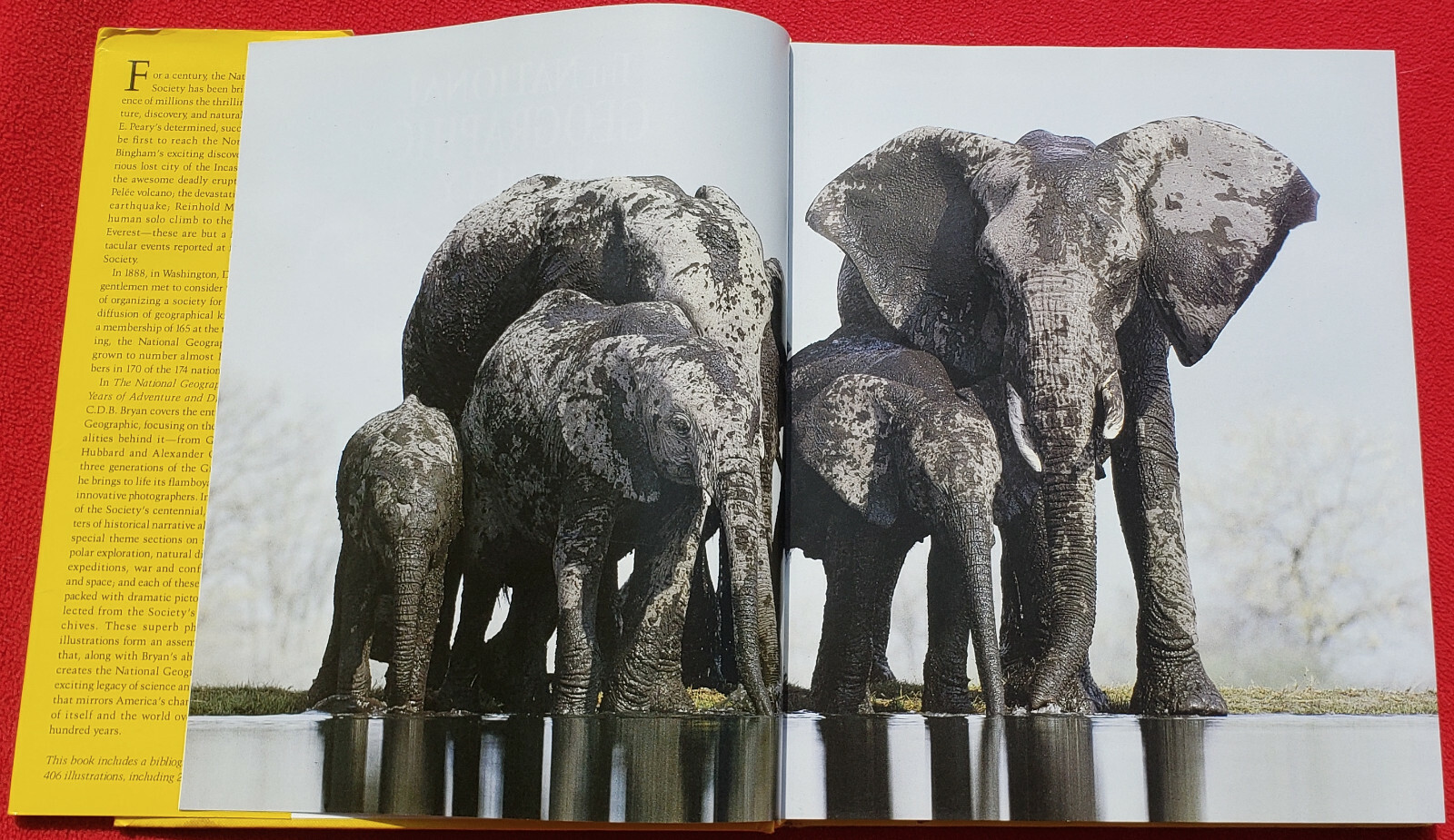 The National Geographic Society 100 Years Of Adventure And Discovery 480 Pages