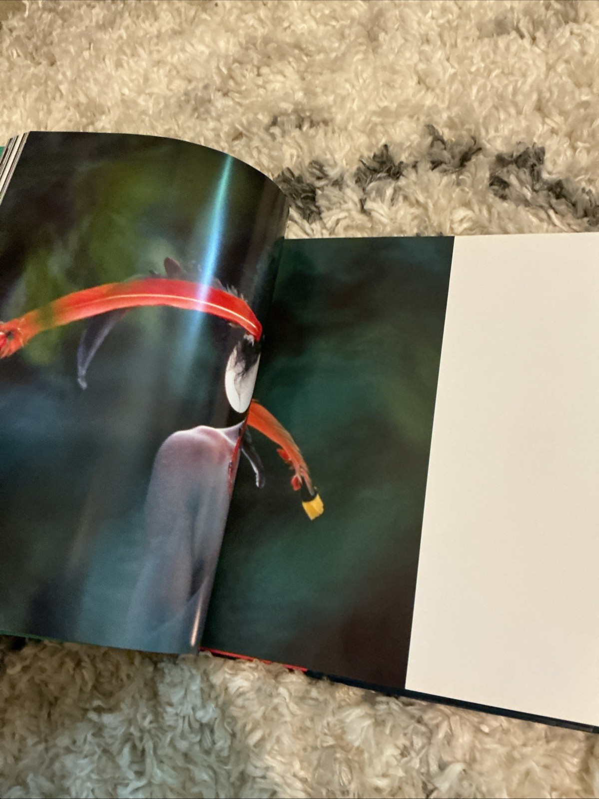 La Avery El Hombre Vinculos A Traverse Del Tiempo The Wild Foundation H/C Book