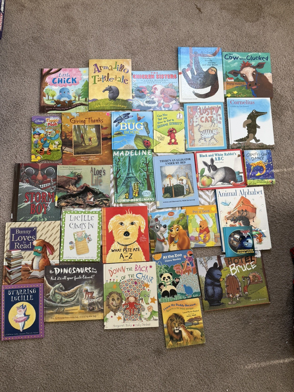 Random Lot of 30 – Books for Children’s/ Kids/ Toddler Babies/Preschool/Daycare