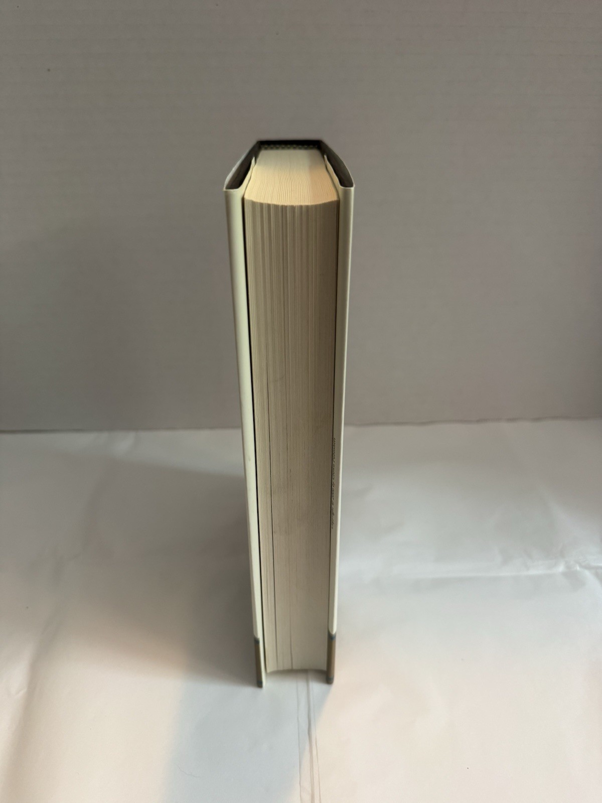 The Audacity of Hope, Barack Obama FIRST EDITION 2006 US POLITICS/PRESIDENT VG
