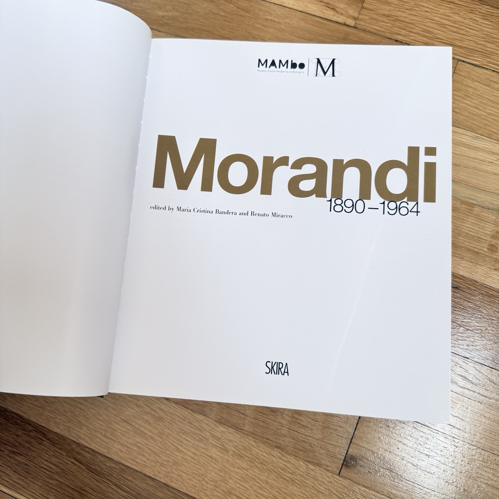 Morandi 1890-1964 Hardcover Art Book Rizzoli International MAMbo & MOMA