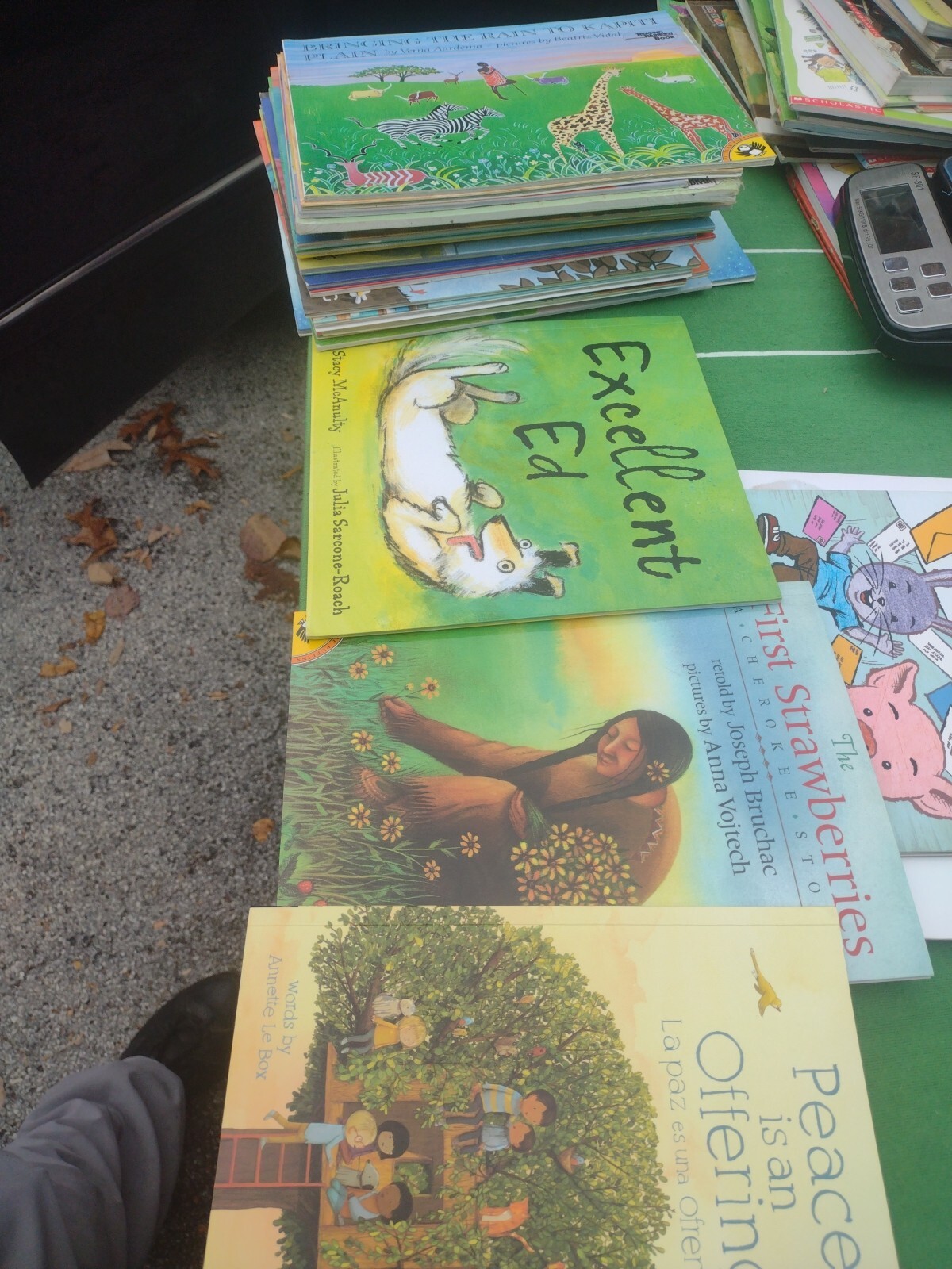 LOT OF 25 DOLLY PARTON IMAGINATION LIBRARY PICTURE BOOKS READ ALOUD ABCs NUMBERS