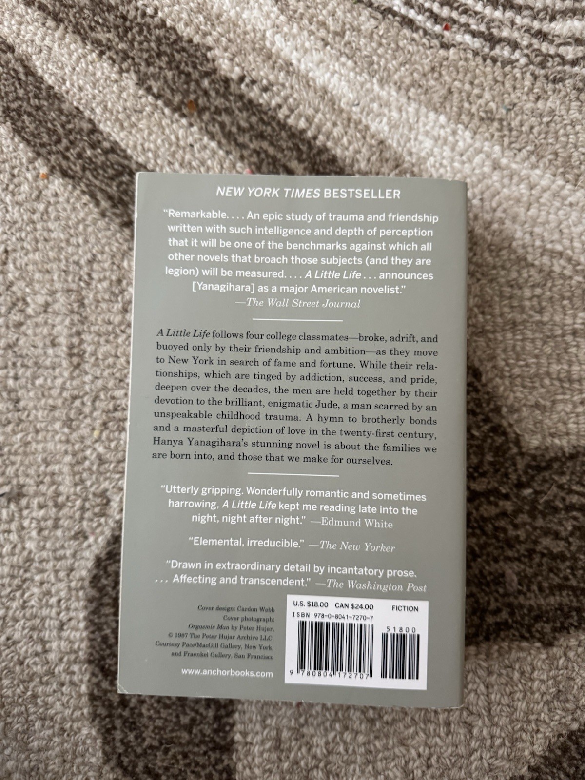 A Little Life Hanya Yanagihara Paperback, Great Condition!