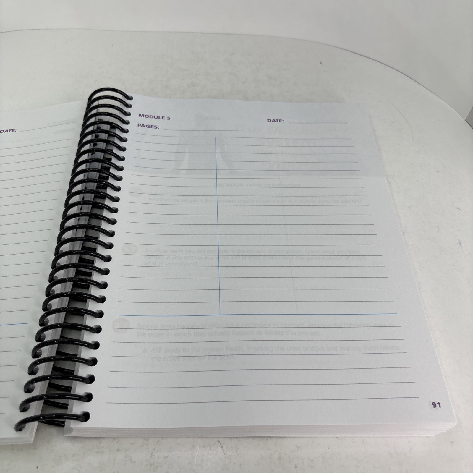 Exploring Creation with Advanced Biology (2nd edition) Student Notebook Clean