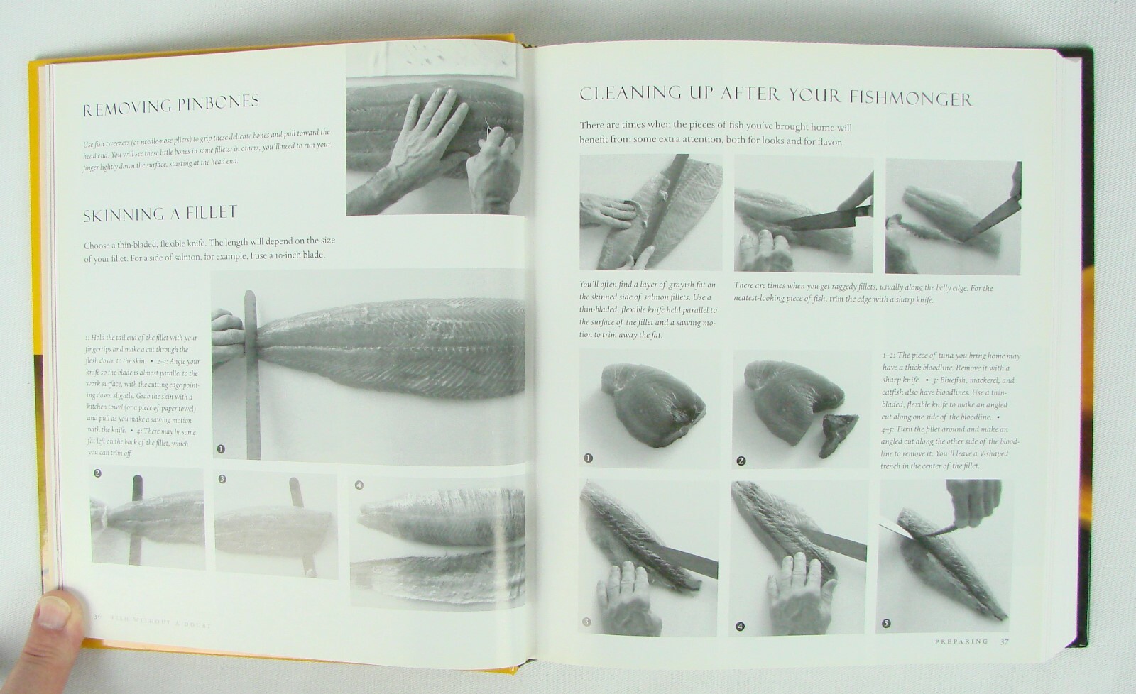 Cook’s Essential Companion ~ „Fish Without Doubt“ ~ 2003 HB ~ 496 pages like new