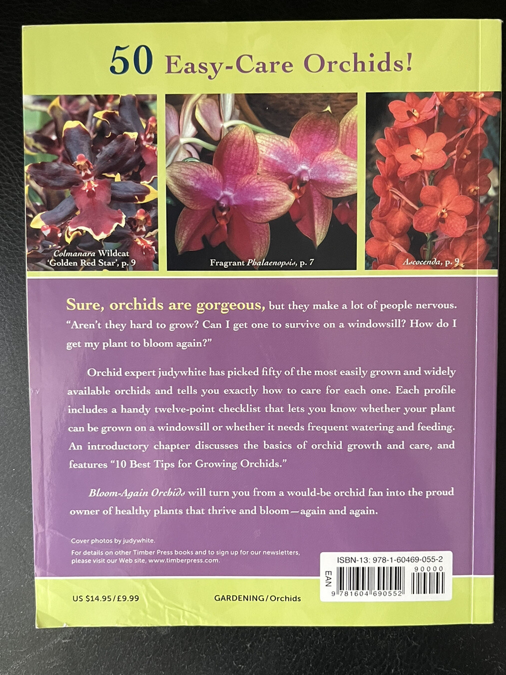 Bloom-Again Orchids by Judy White