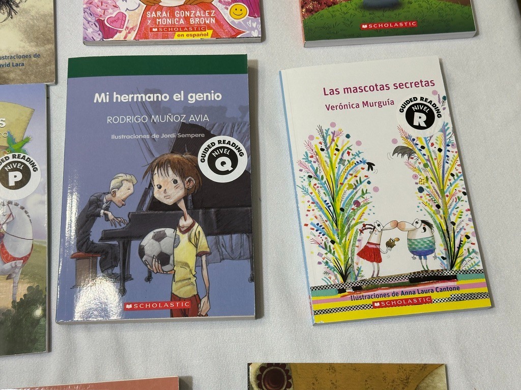 Scholastic 40 SPANISH Grade 4-6 Guided Reading Readers Books Level P, Q, R, S