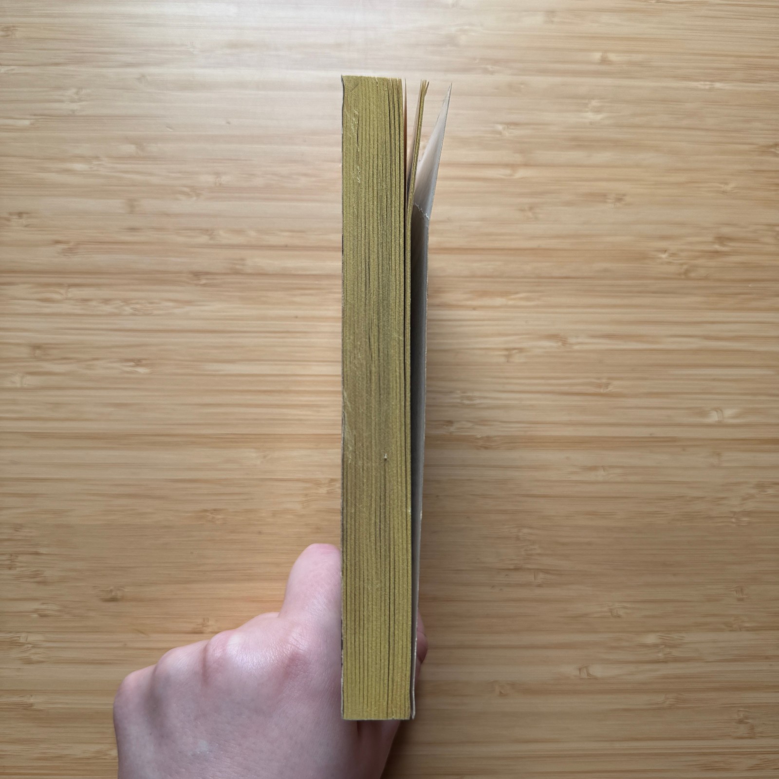 Skull-Face by Robert E. Howard 1978 Berkley PB Vintage Fantasy Horror