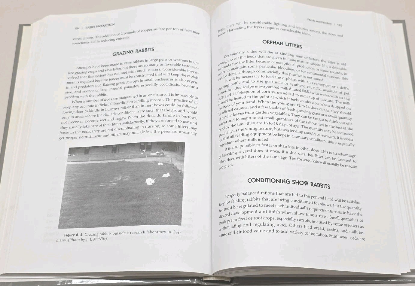 Rabbit Production 8th Edition Hardcover McNitt Patton Lukefahr Cheeke VGC