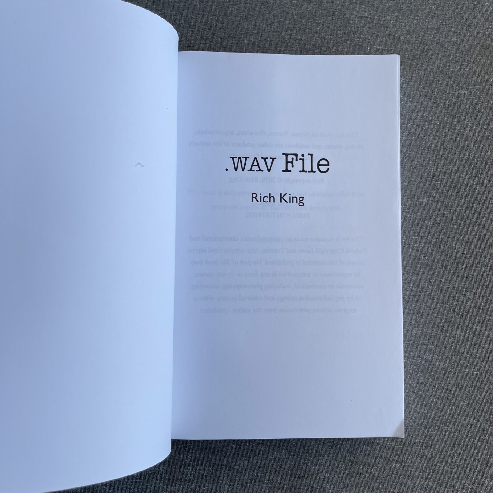 Wav File Paperback – February 2, 2021 by Rich King