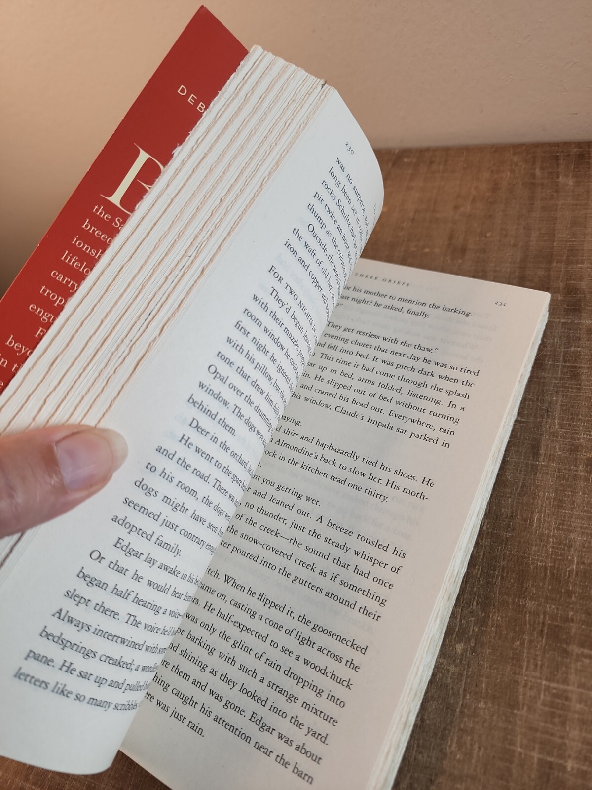 P. S. Ser.: The Story of Edgar Sawtelle : A Novel by David Wroblewski (2009,…