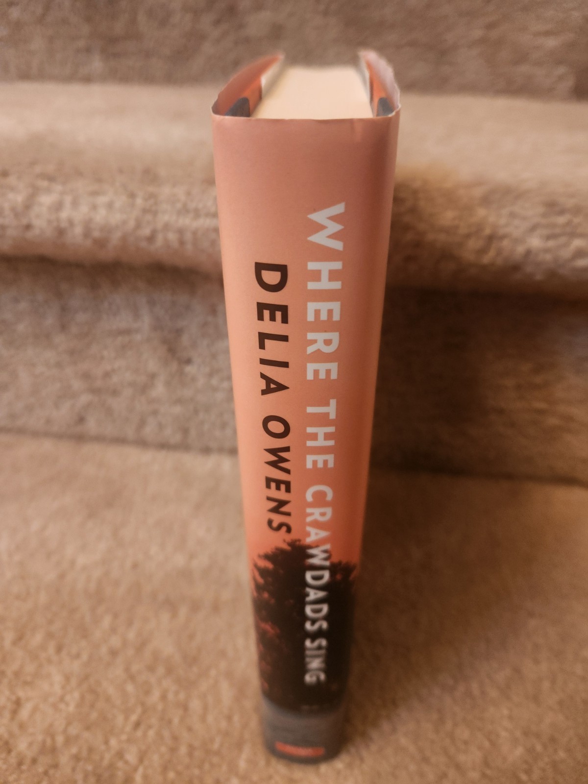 Where the Crawdads Sing – Hardcover By Owens, Delia – New