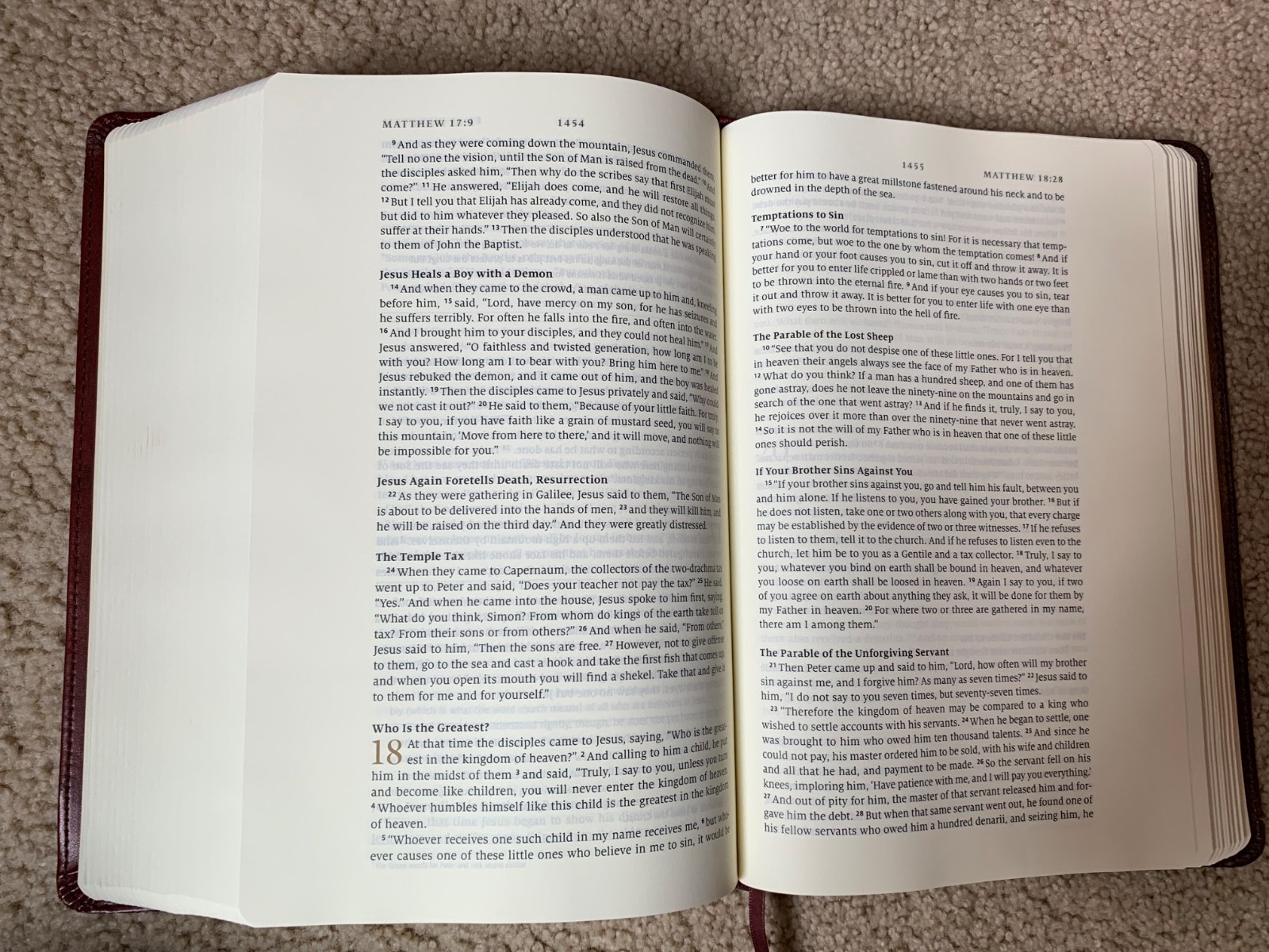 ESV Story of Redemption Bible TruTone 2018 Imitation Leather
