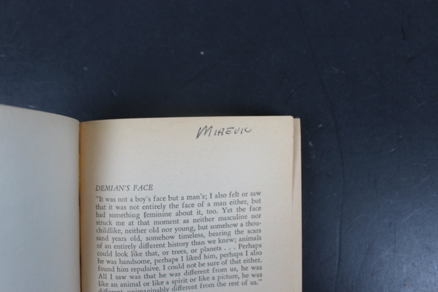 Demian Hermann Hesse 1974 Bantam Edition Philosophical Fiction Classic PB