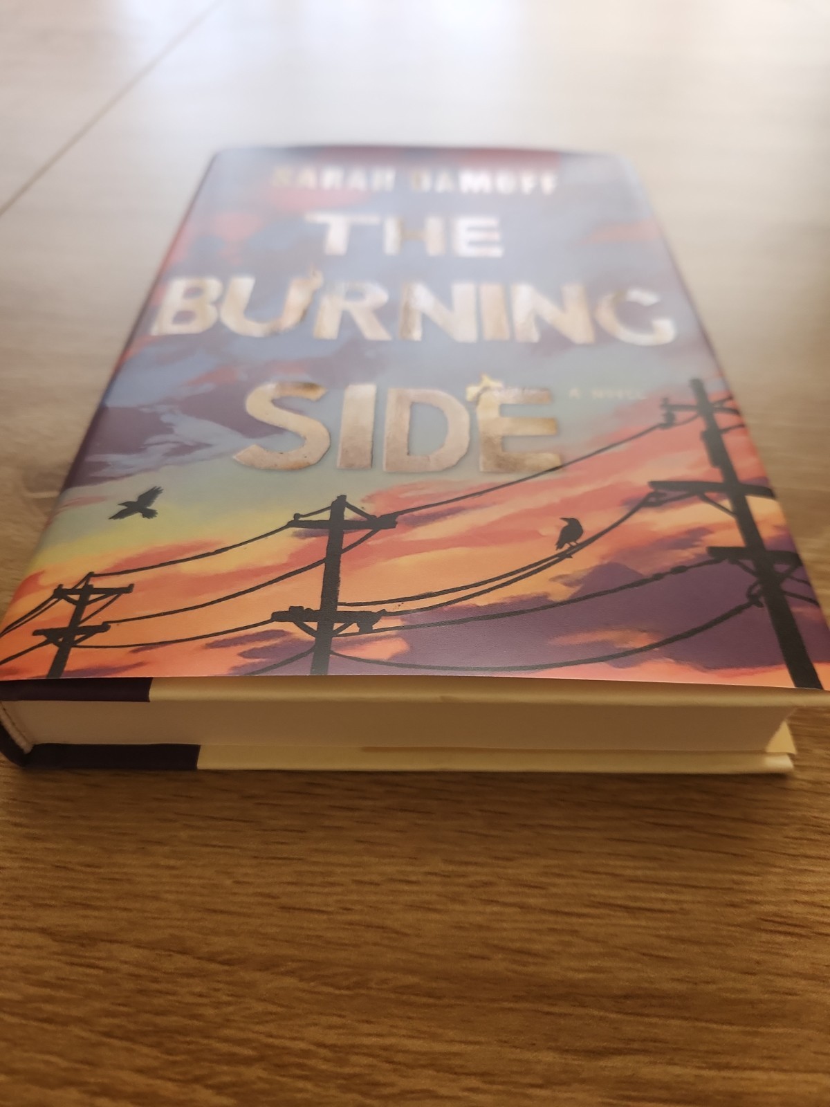 The Burning Side A Novel – Hard Cover – BOTM Edition