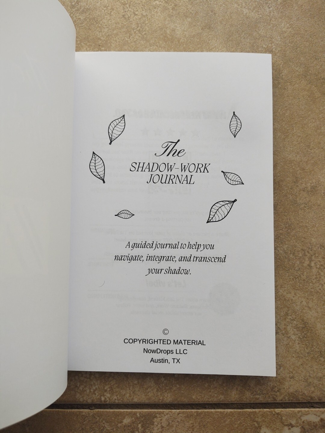 THE SHADOW WORK JOURNAL Guide Integrate & Transcend Your Shadows Self Help Book