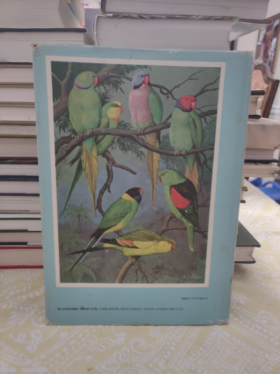 ENCYCLOPAEDIA OF AVICULTURE, (V.2) By Abram Rutgers & K A Norris – Hardcover
