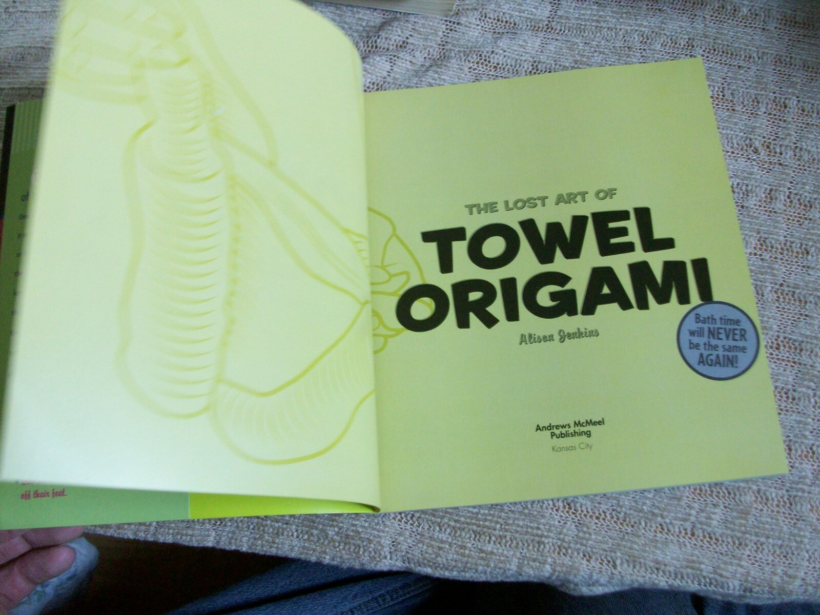 The Lost Art of Towel Origami by Alison Jenkins (2005,Ivy Press,paperback)
