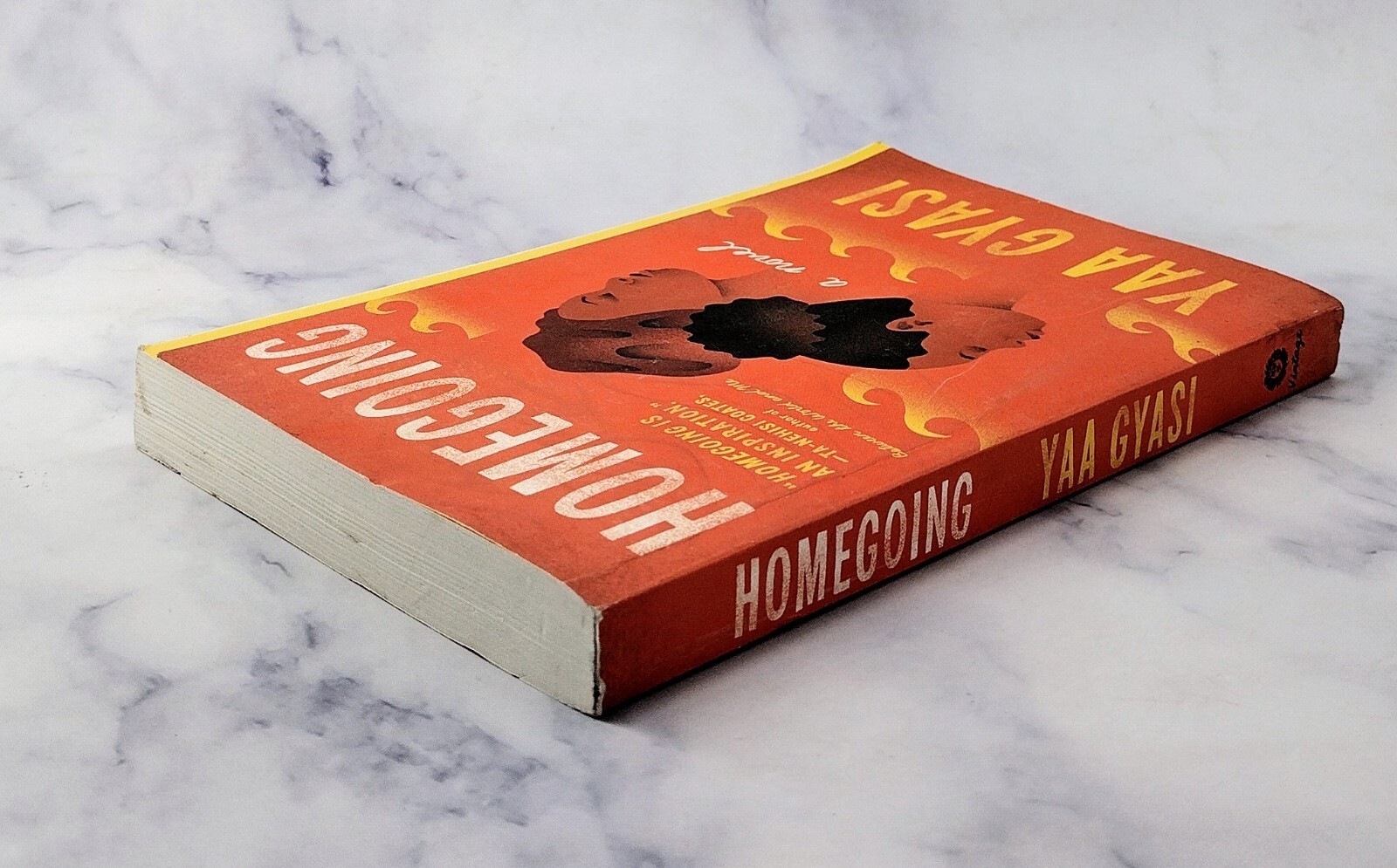 Homegoing by Yaa Gyasi (2017, Trade Paperback) New, Other