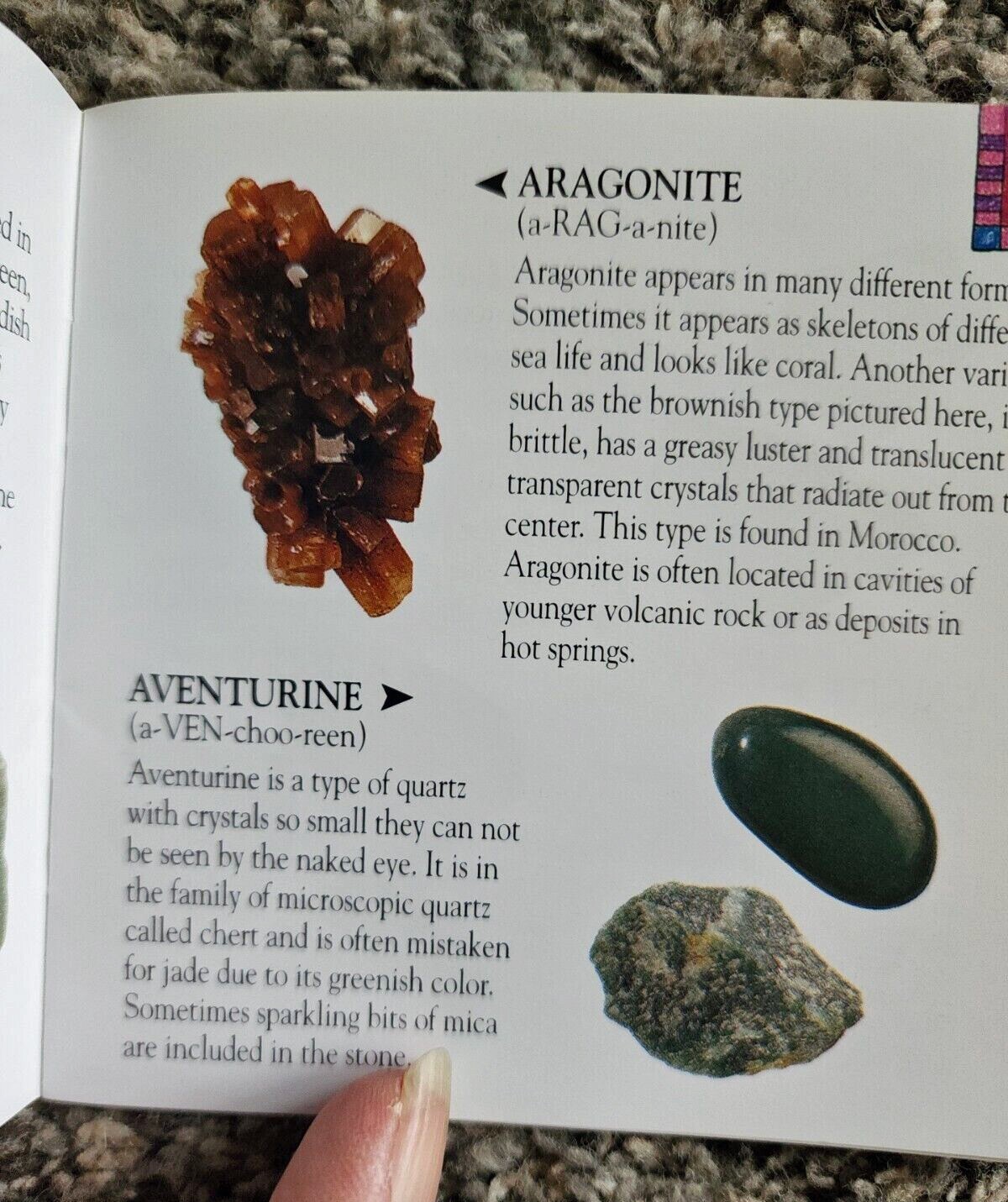Dig into Rocks A Guide for Collectors 36 Pages Rocky the Rockhound is Your Guide