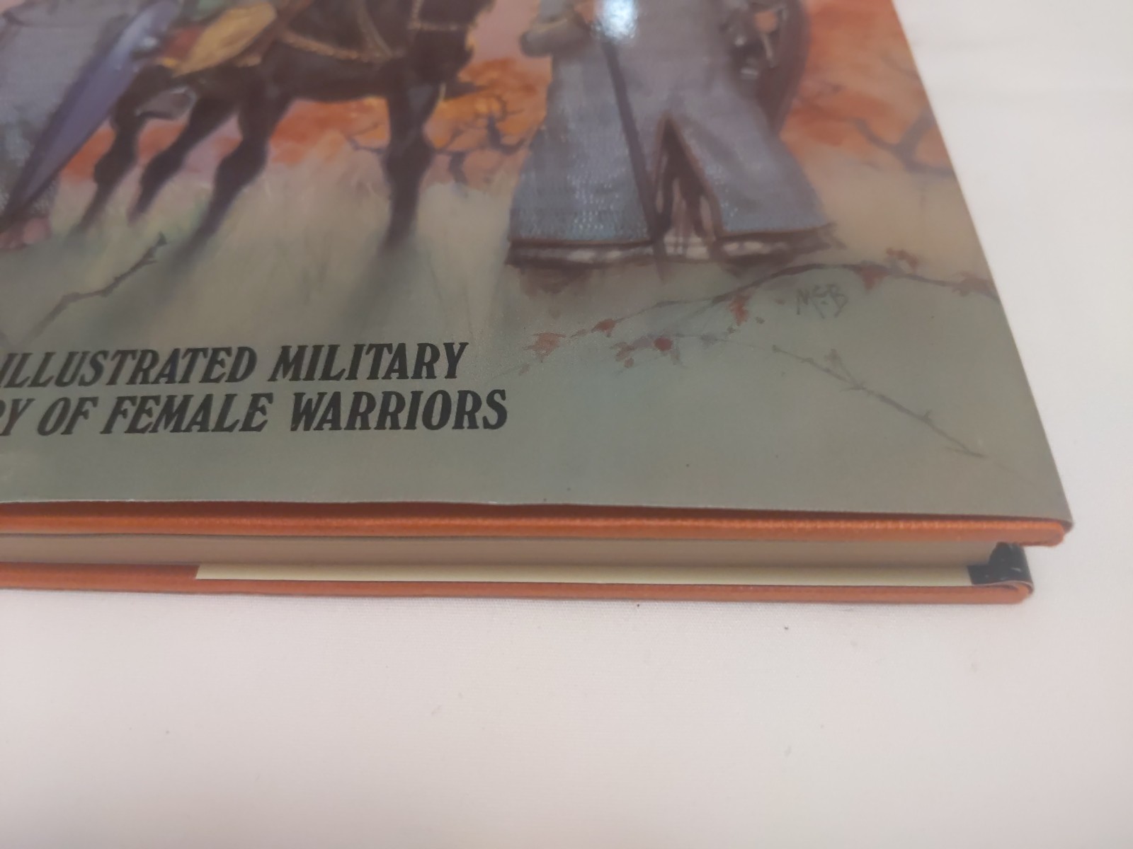 Women Warlords Hardcover Tim Newark Illustrated Military History Female Warriors