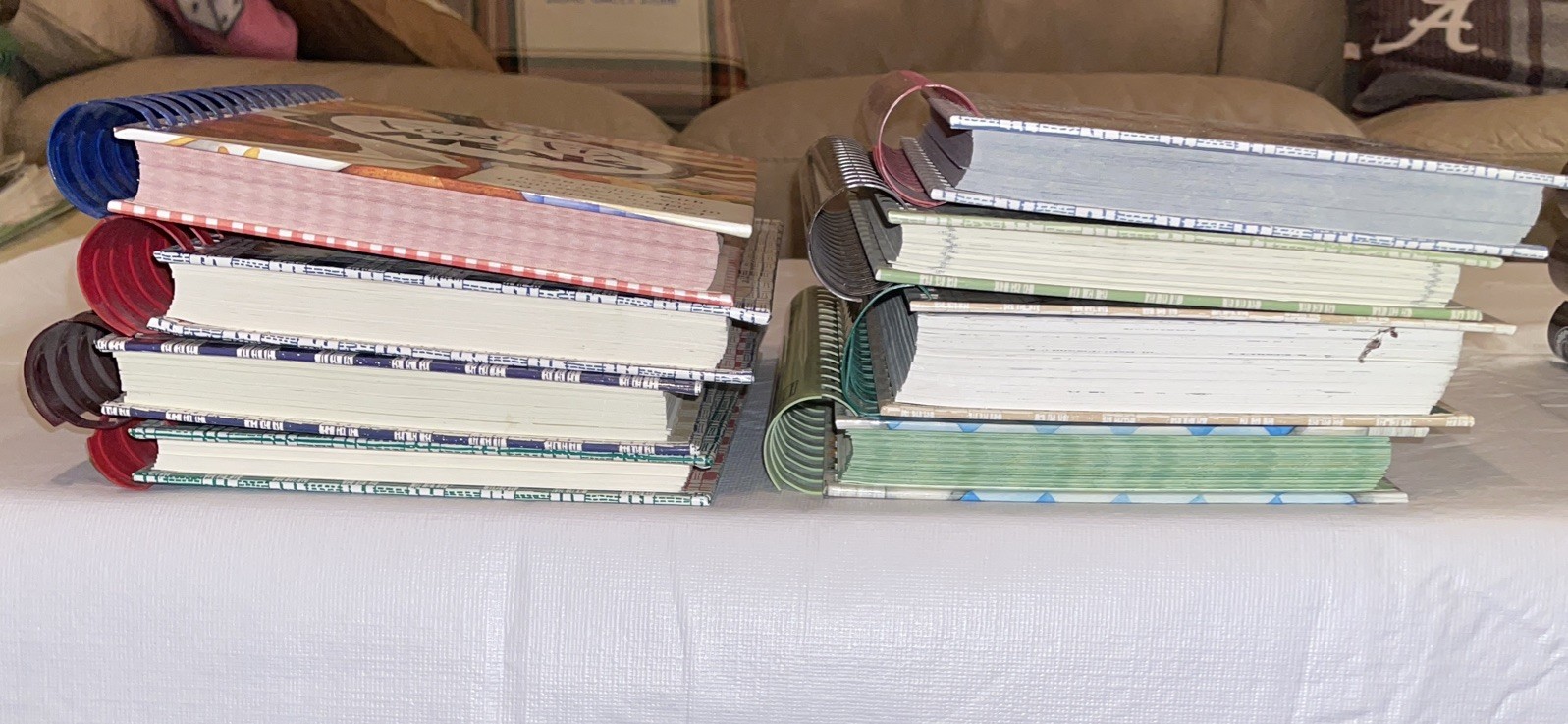 Huge Lot Of 16 Goose Berry Patch Spiral Bound Variety Cookbooks EUC
