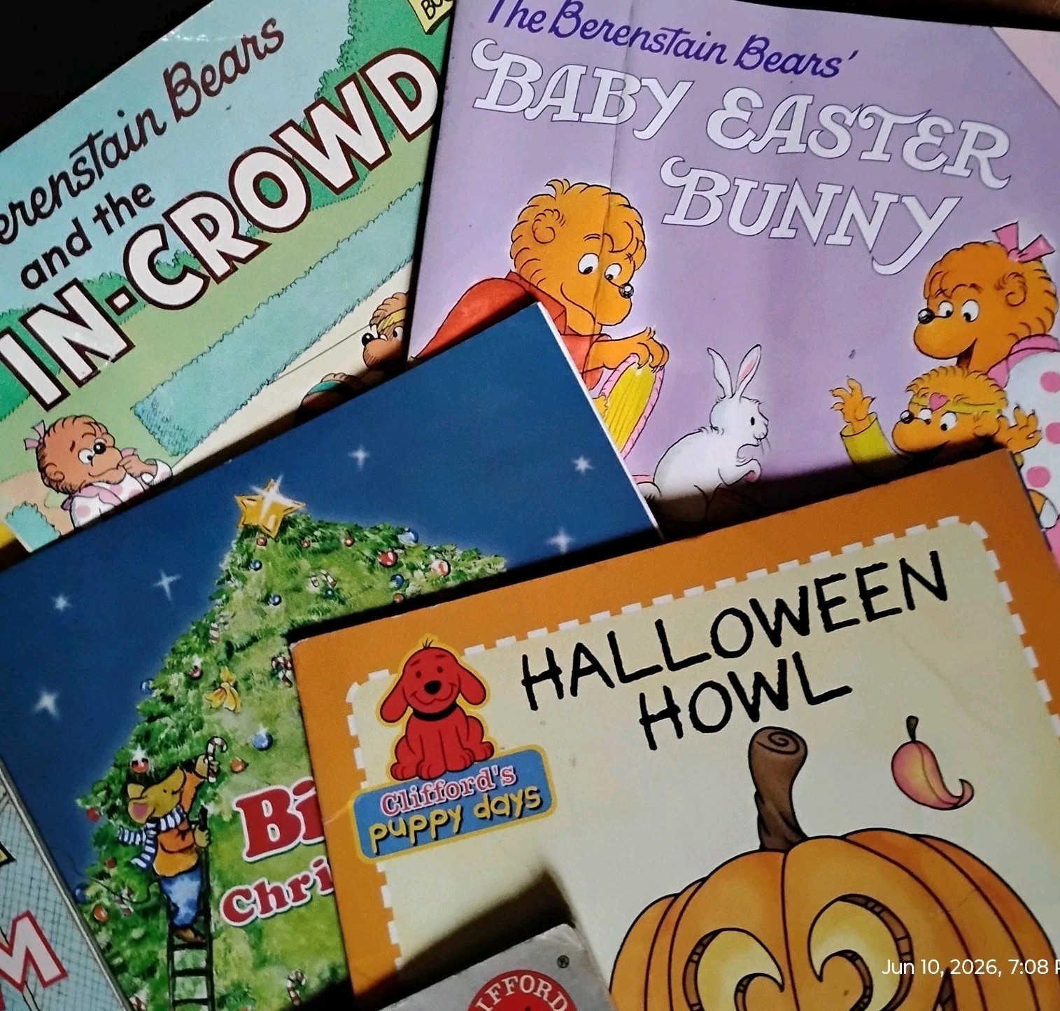 Lot of 8 Children’s Picture Books (Berenstiain Bears, Clifford,etc)