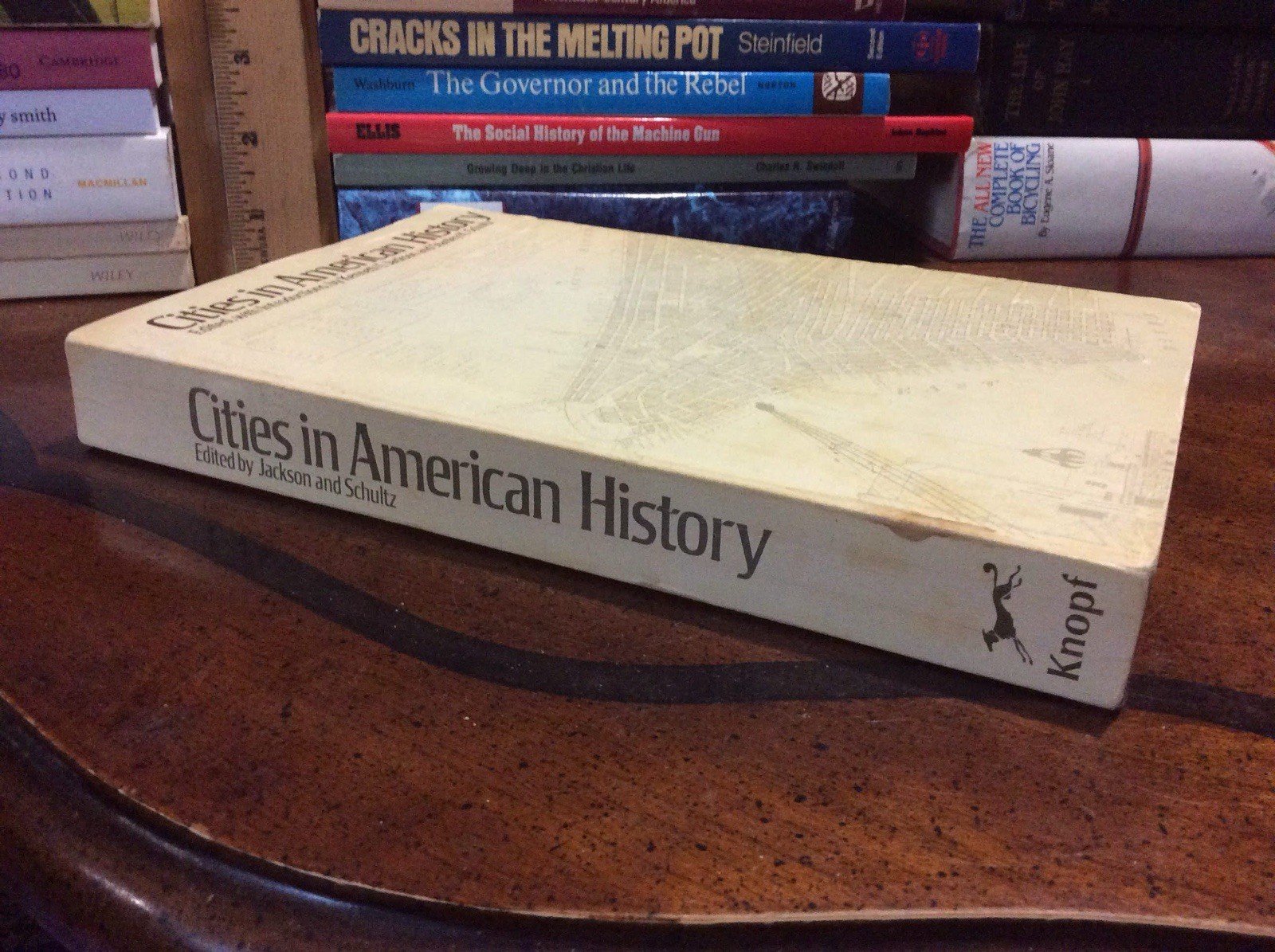 Cities in American History By Kenneth T. Jackson 1972 Paperback VG
