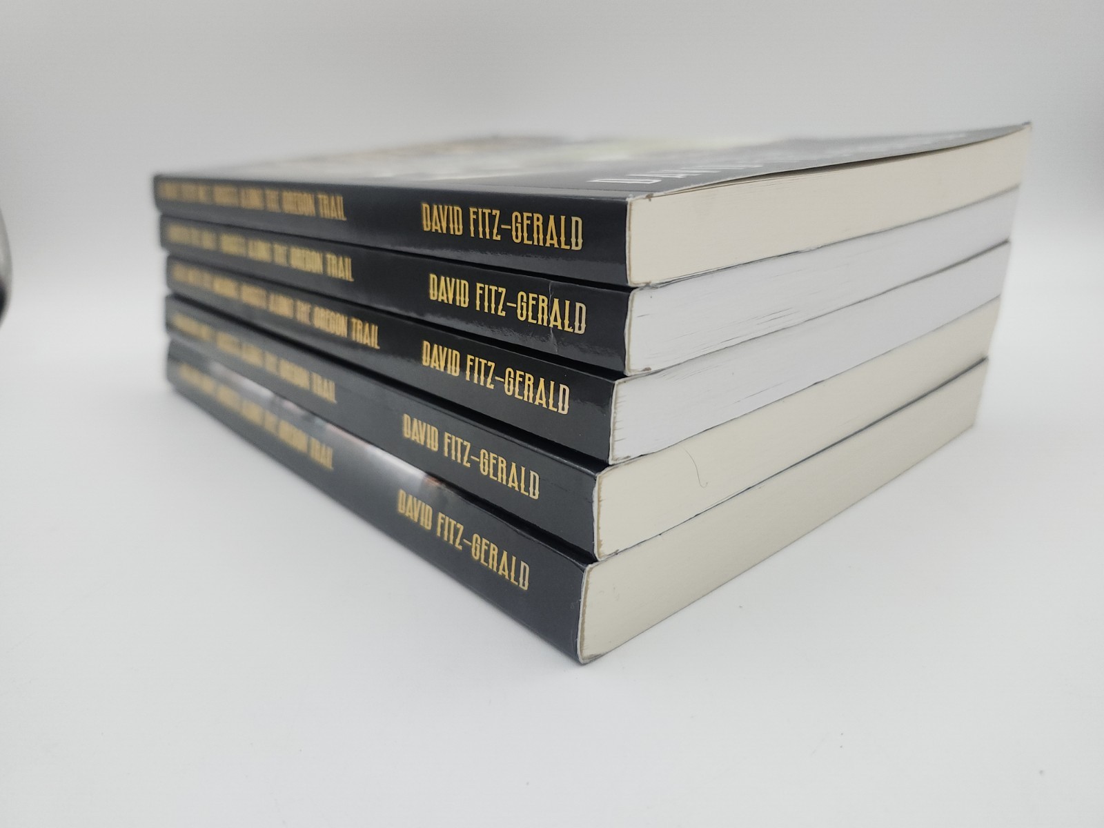 GHOSTS ALONG THE OREGON TRAIL Series, Books 1-5 by David Fitz-Gerald 2024