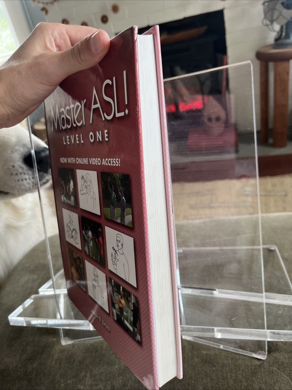 Master ASL – Level One By Jason Zinza HARD COVER